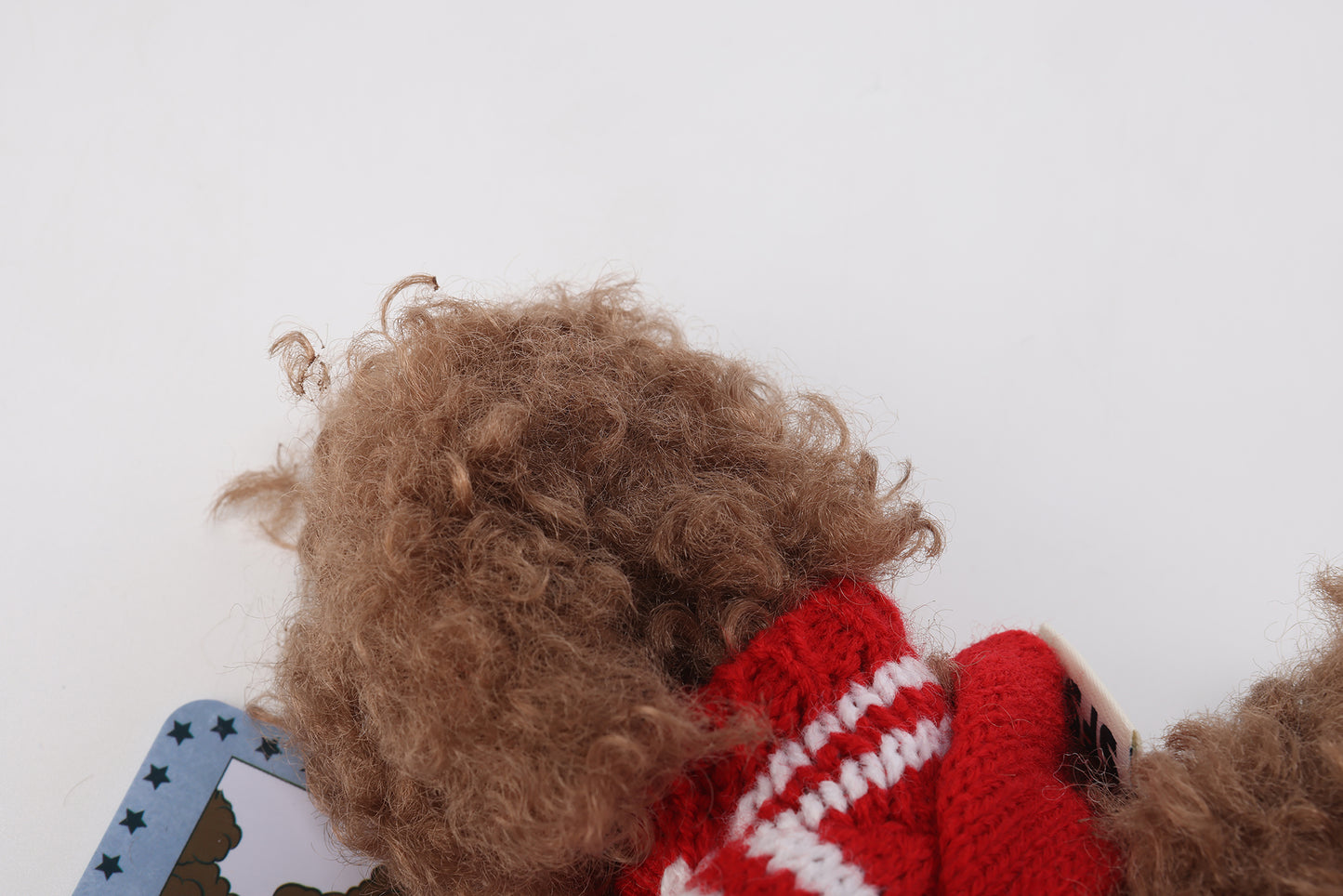 Chiot griffonné marron SFSG portant un pull rouge