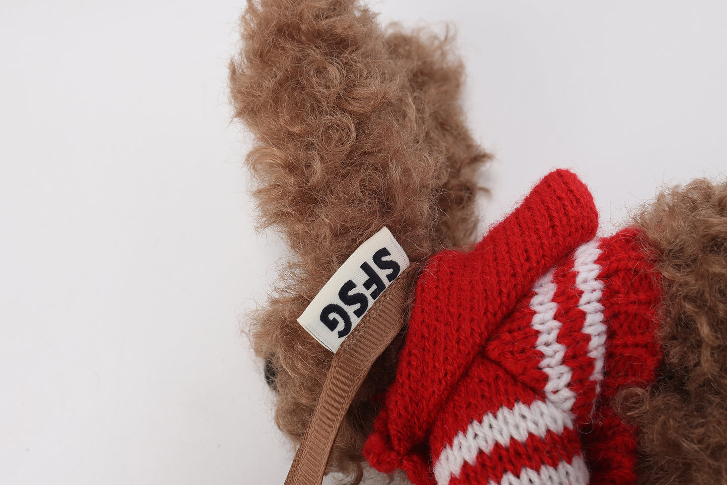 Chiot griffonné marron SFSG portant un pull rouge