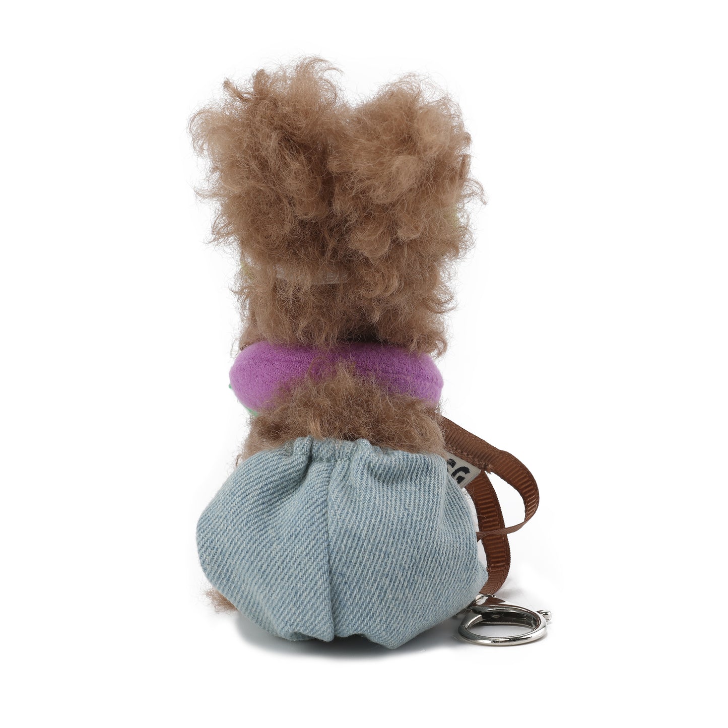 Chiot griffonné marron SFSG en vacances