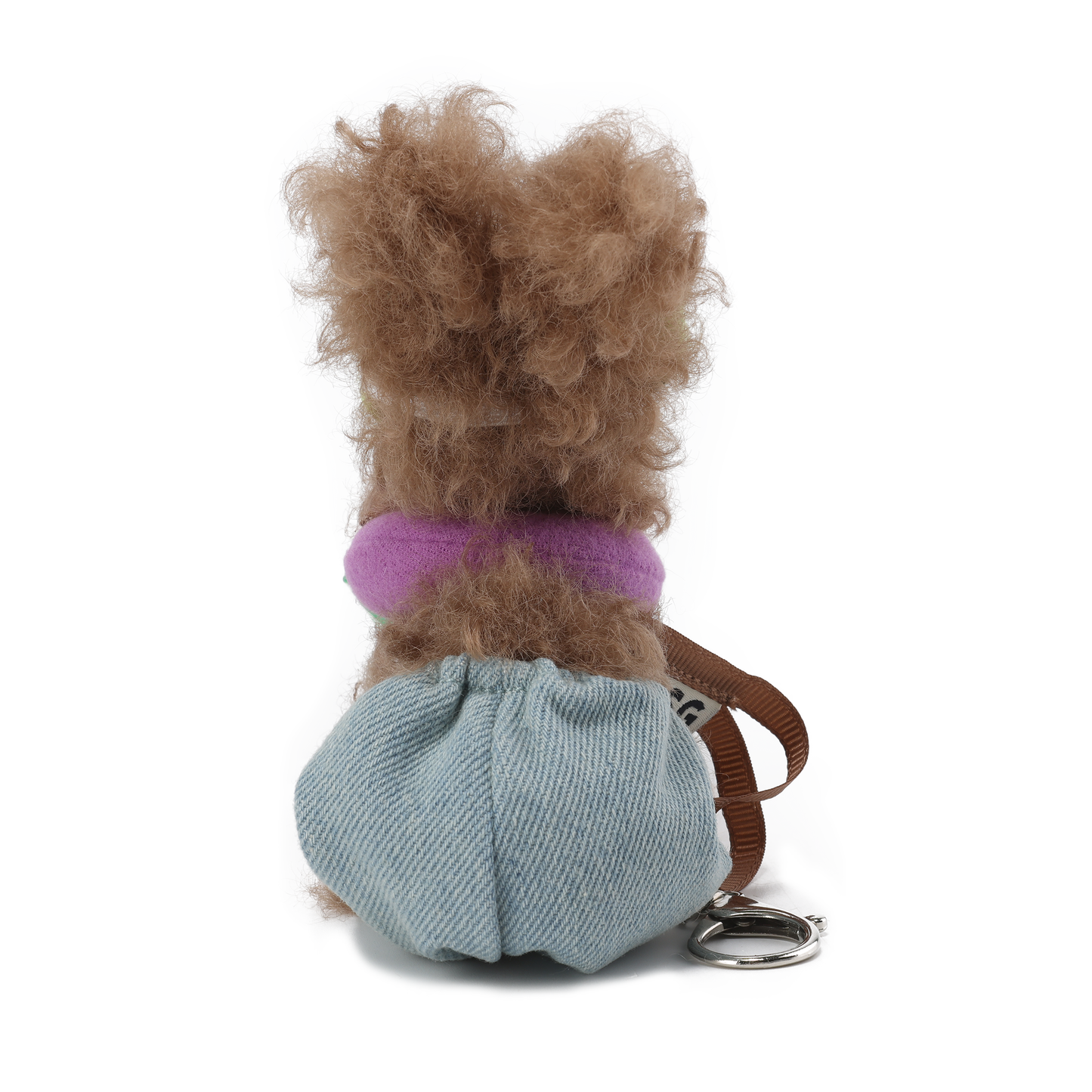 Chiot griffonné marron SFSG en vacances