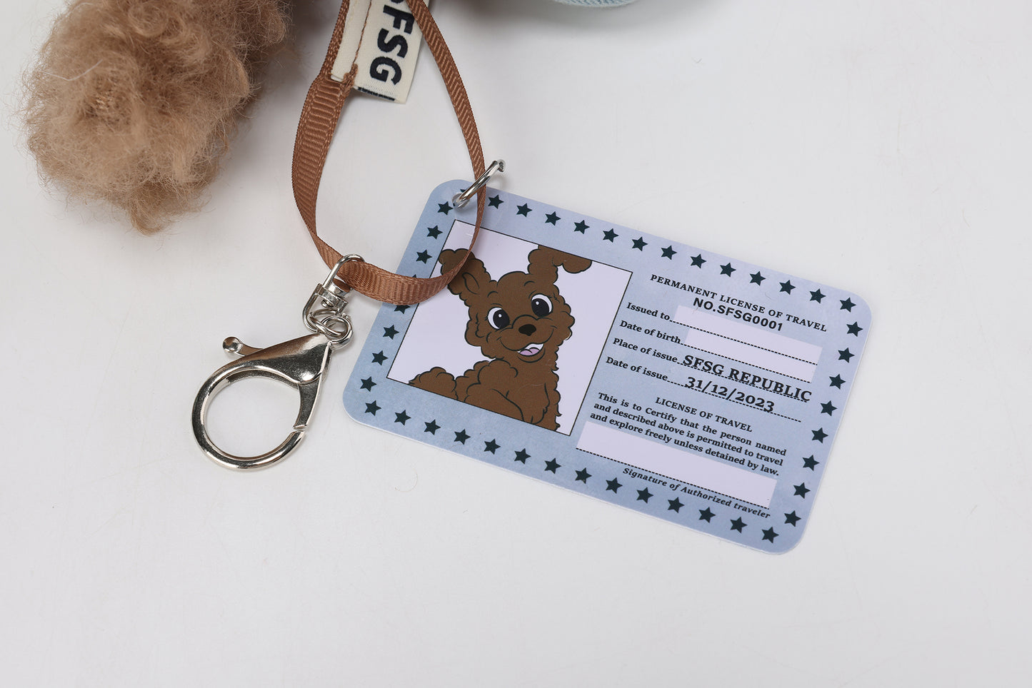 Chiot griffonné marron SFSG en vacances