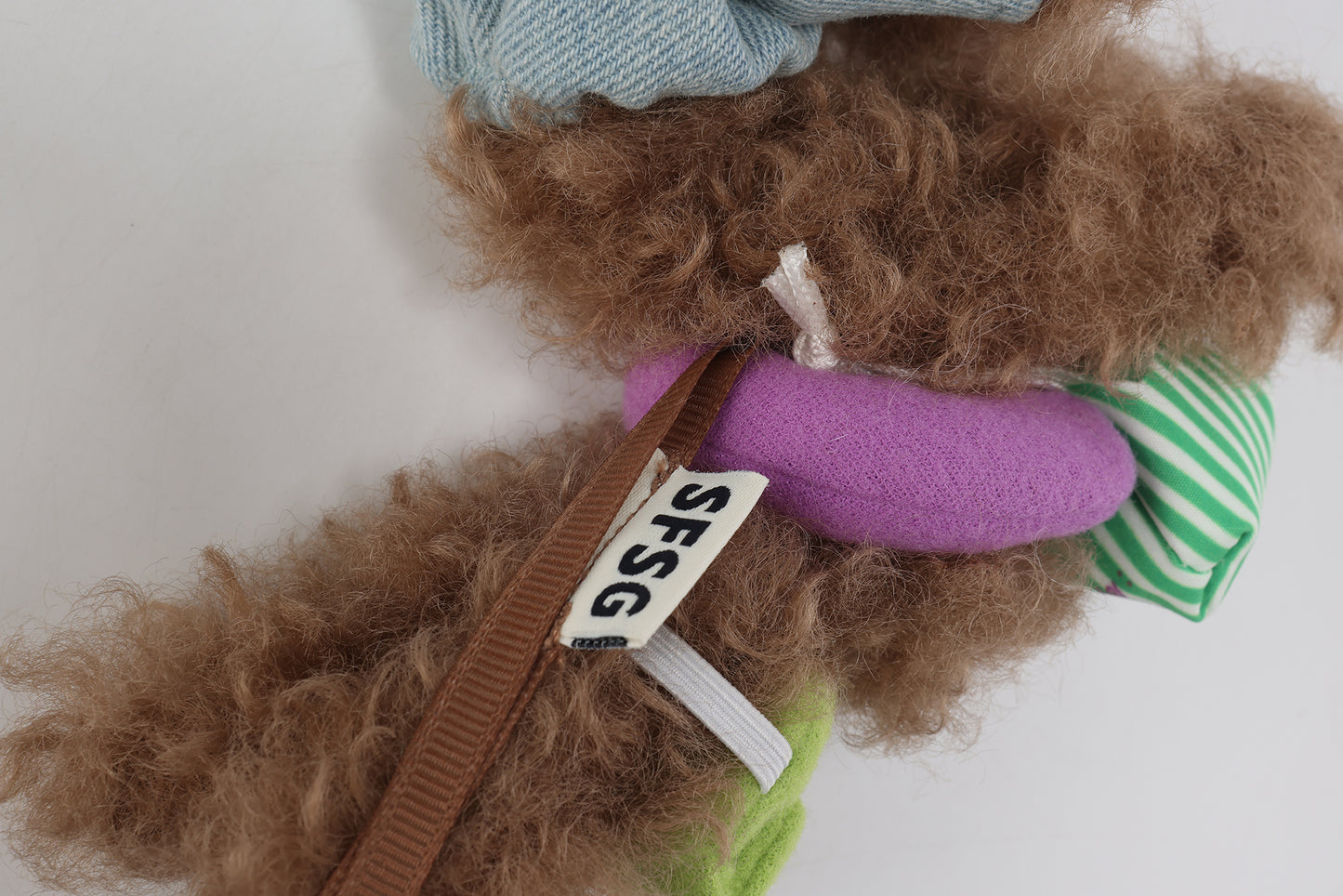 Chiot griffonné marron SFSG en vacances