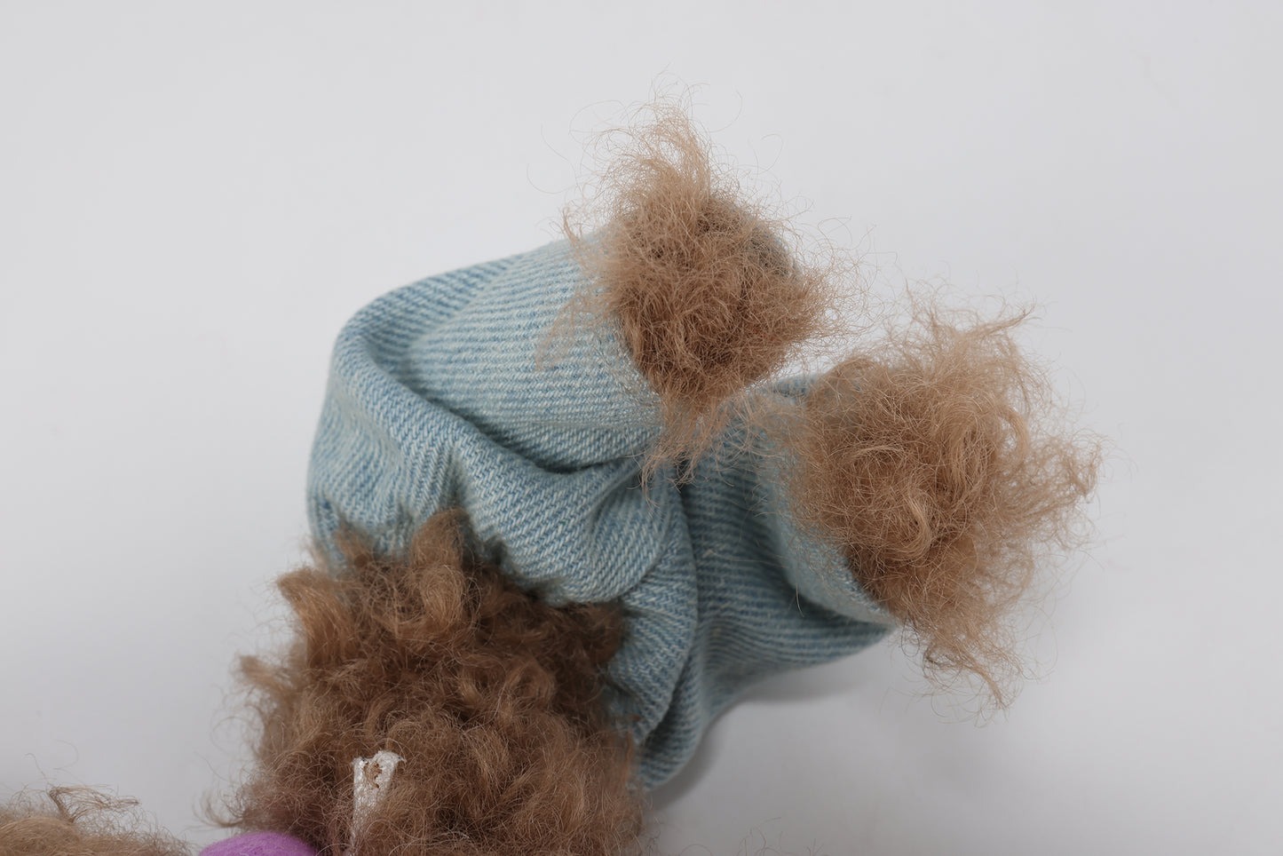 Chiot griffonné marron SFSG en vacances