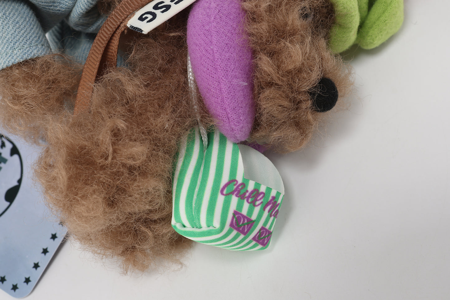 Chiot griffonné marron SFSG en vacances