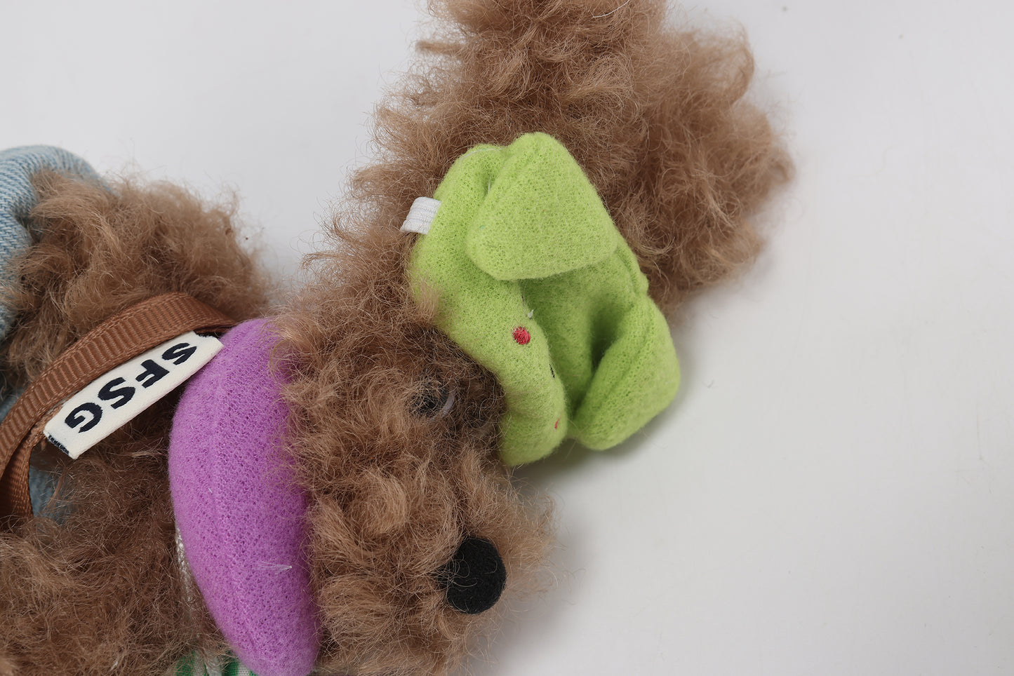 Chiot griffonné marron SFSG en vacances