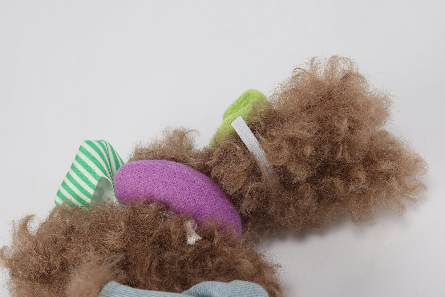 Chiot griffonné marron SFSG en vacances