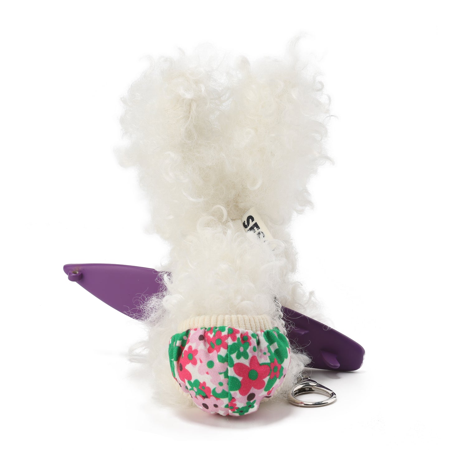 Chiot blanc griffonné SFSG tenant une planche de surf