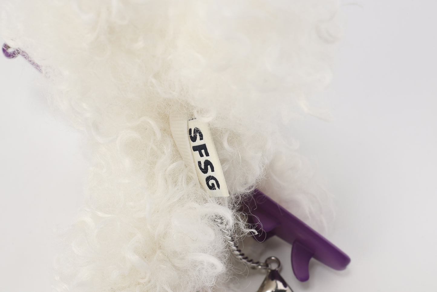 Chiot blanc griffonné SFSG tenant une planche de surf