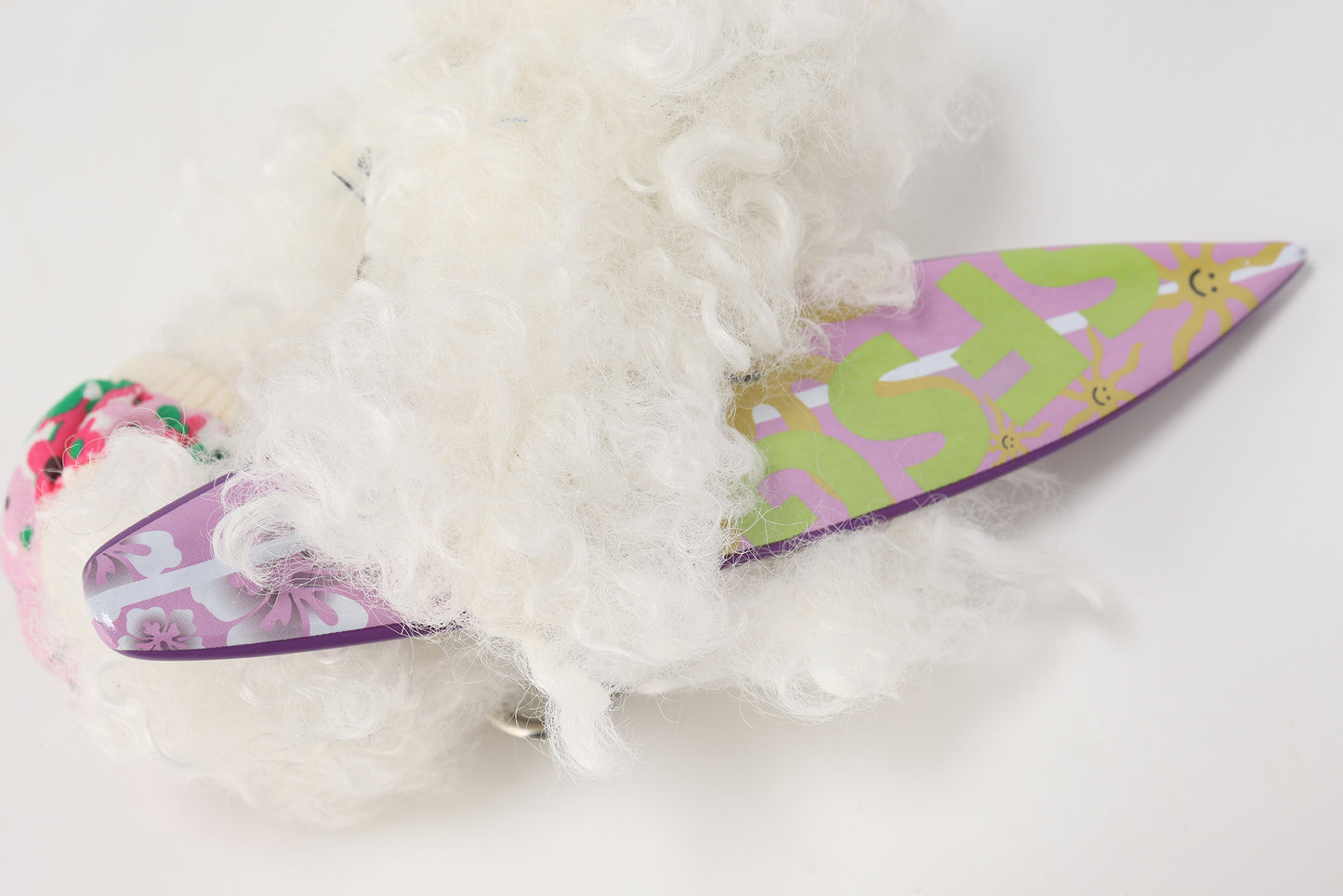 Chiot blanc griffonné SFSG tenant une planche de surf