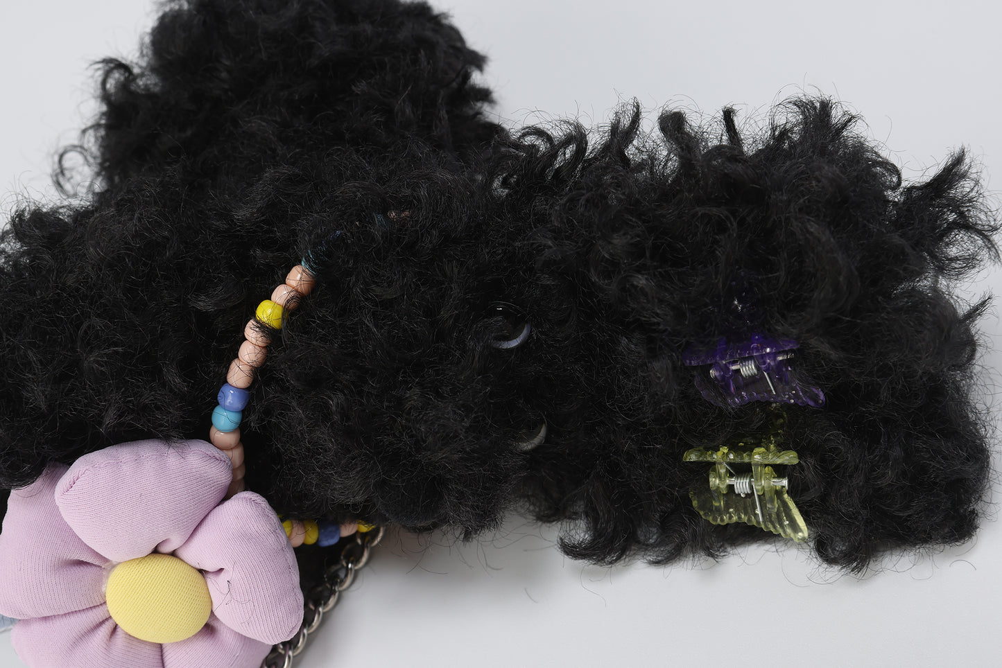 SFSG Beautiful black scribbled puppy