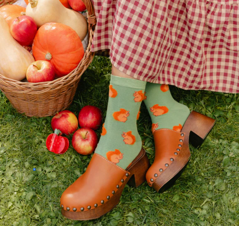 Squirrel Socks