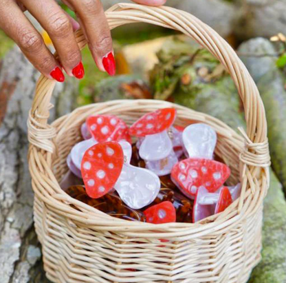 Mushroom Hair Claw