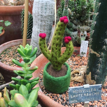Handmade Felt Biodegradable Fake Miniature Plants Decoration