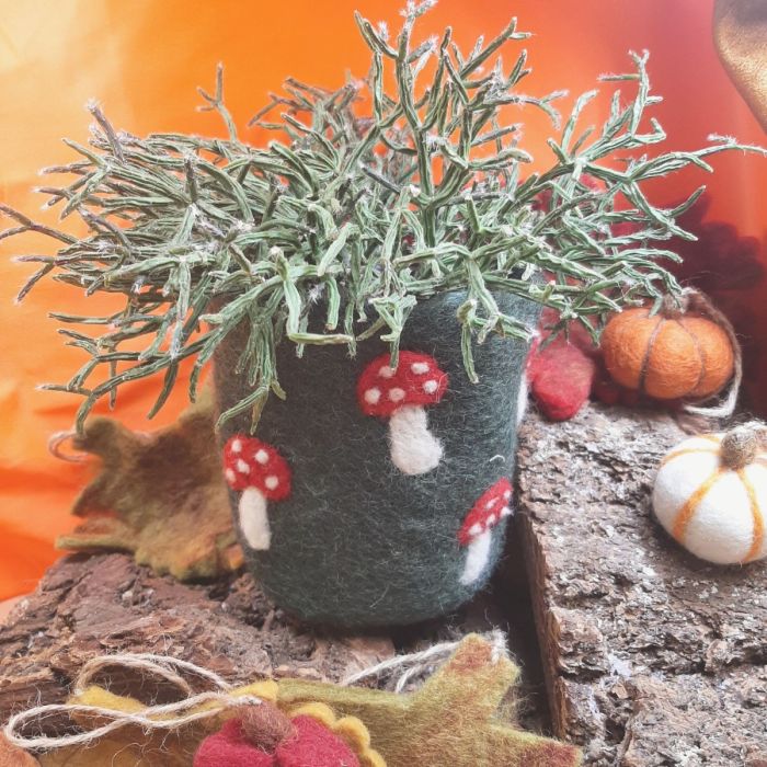 Handmade Felt Toadstool Plant Pot Home Decoration